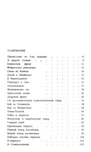 Партизанские Отряды Занимали Города