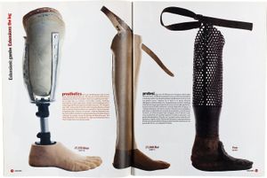 COLORS - Issue #18 - Shopping for the Body