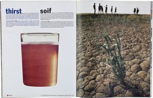 COLORS - Issue #4 - Ecology