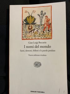 I nomi del mondo. Santi, demoni, folletti e le parole perdute