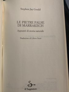 Le pietre false di Marrakech. Appunti di storia naturale