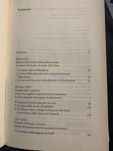 Le pietre false di Marrakech. Appunti di storia naturale