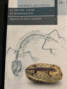 Le pietre false di Marrakech. Appunti di storia naturale