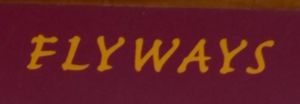 Flyways