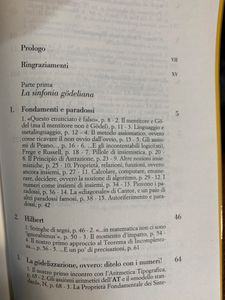 Tutti pazzi per Gödel! La guida completa al Teorema di Incompletezza