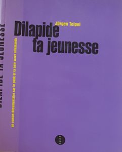 Dilapide ta jeunesse - un roman-documentaire sur le punk et la new wave allemands