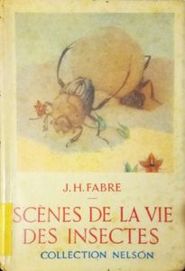 Scènes de la vie des insectes