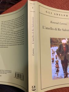 L'anello di Re Salomone