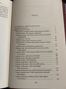 I grandi filosofi - Schopenhauer II