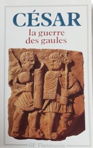 La guerre des Gaules