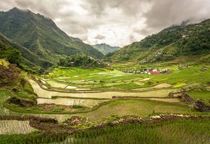Landscape (2)
