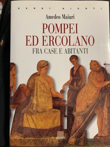 Pompei ed Ercolano. Fra case e abitanti