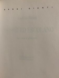 Pompei ed Ercolano. Fra case e abitanti