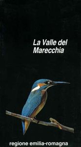 La valle del Marecchia