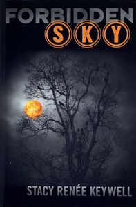 Forbidden Sky: The End of the Beginning