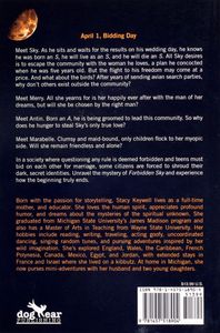 Forbidden Sky: The End of the Beginning