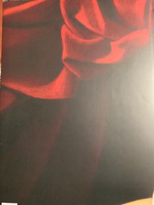 Caravaggio. L'opera completa