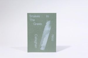 Snakes In The Grass