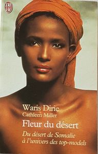 Fleur Du Désert : Du Désert De Somalie A L'Univers Des Tops-models