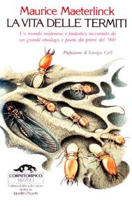 La Vita Delle Termiti