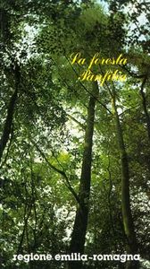 La foresta Panfilia