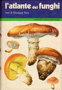 L'atlante dei funghi