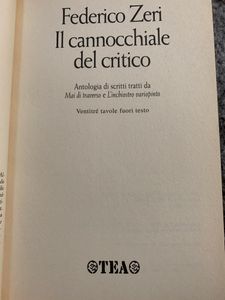 Il cannocchiale del critico