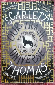 Our Tragic Universe