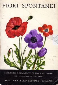 Fiori spontanei