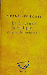 La fracture islamique : demain, le soufisme?