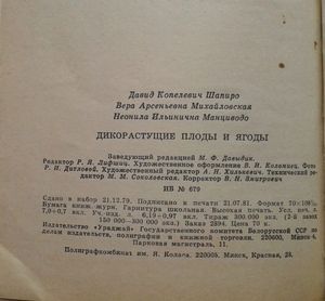 Дикорастущие Плоды И Ягоды