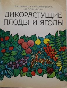 Дикорастущие Плоды И Ягоды