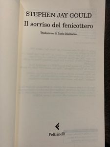 Il sorriso del fenicottero