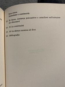 Il sorriso del fenicottero