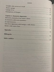 Dall'altra parte dello specchio. Le simmetrie in matematica