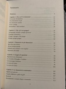 Dall'altra parte dello specchio. Le simmetrie in matematica