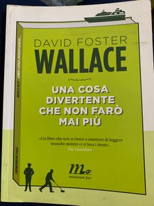 Una cosa divertente che non farò mai più