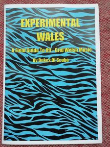 Experimental Wales: A Field Guide To Off-Grid Welsh Music