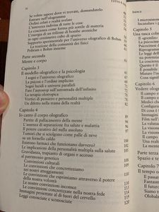 Tutto è Uno. L'Ipotesi Della Scienza Olografica