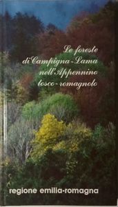 Le foreste di Campigna-Lama nell'Appennino tosco-romagnolo