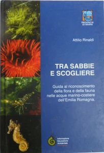 Tra sabbie e scogliere: Guida al riconoscimento della flora e della fauna delle acque marino-costiere in Emilia Romagna