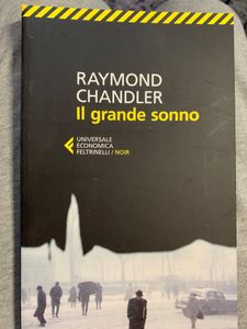 Il grande sonno