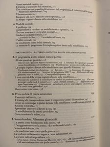 Mindfulness. Al di là del pensiero, attraverso il pensiero