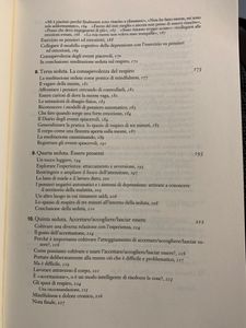 Mindfulness. Al di là del pensiero, attraverso il pensiero