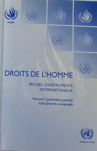 Droits de l'Homme - Recueil d'instruments internationaux Volume I (première partie) - instruments universels