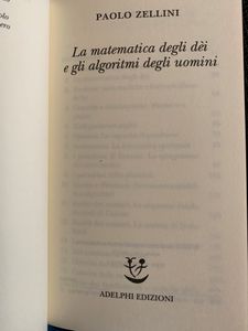 La matematica degli dei e gli algoritmi degli uomini