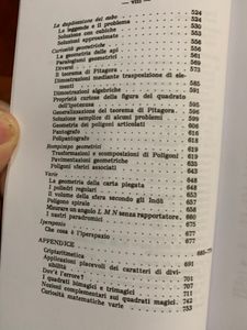 Matematica dilettevole e curiosa