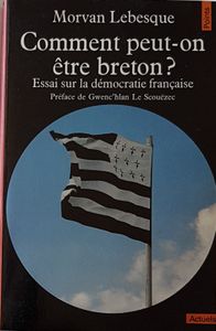 Comment peut-on être Breton? Essai sur la démocratie française