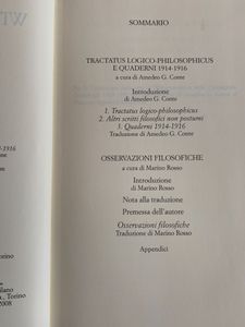 Wittgenstein
