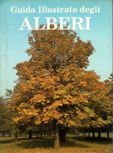 Guida illustrata degli alberi